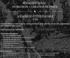 Salarié viti-vinicole polyvalent CDI Domaine Jean Esprit (Crozes-Hermitage)