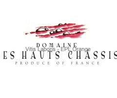 Stage de Vinification