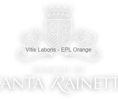 vendeur caveau vente particuliers (CDI possible)