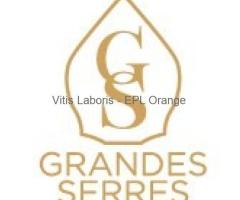 Alternance Viticulture et Oenologie