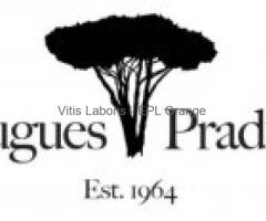 Alternance : Assistant Viticulture & Oenologie (H/F) BAC CGEVV / BTSA VO