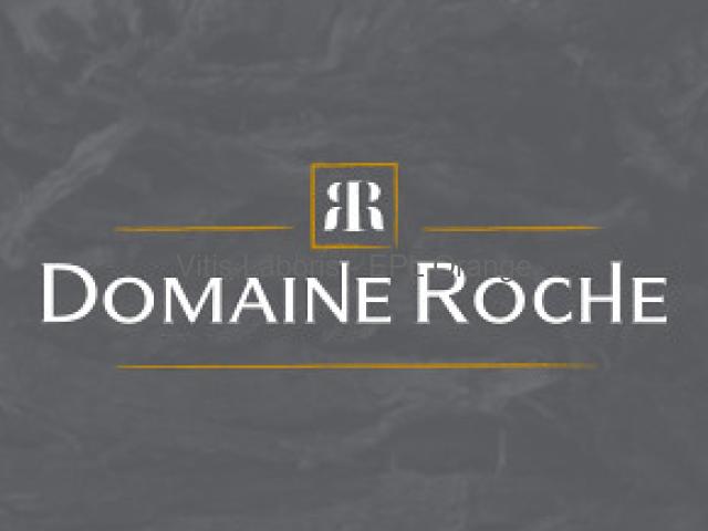 Cairanne / Domaine Roche - Recherche de stagiaire