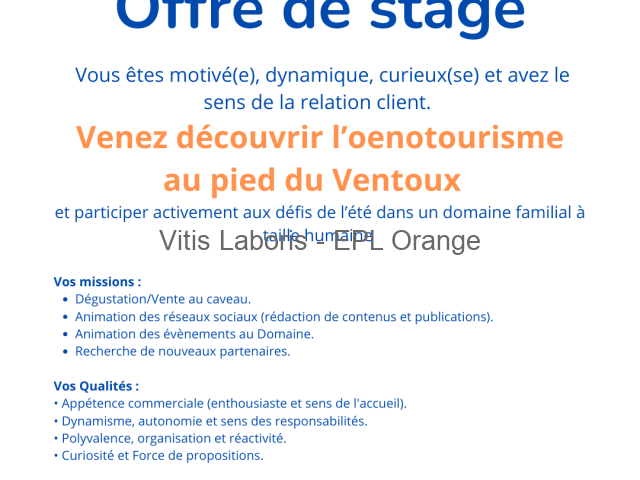 Oenotourisme et communication digitale au pied du Ventoux