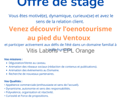 Oenotourisme et communication digitale au pied du Ventoux