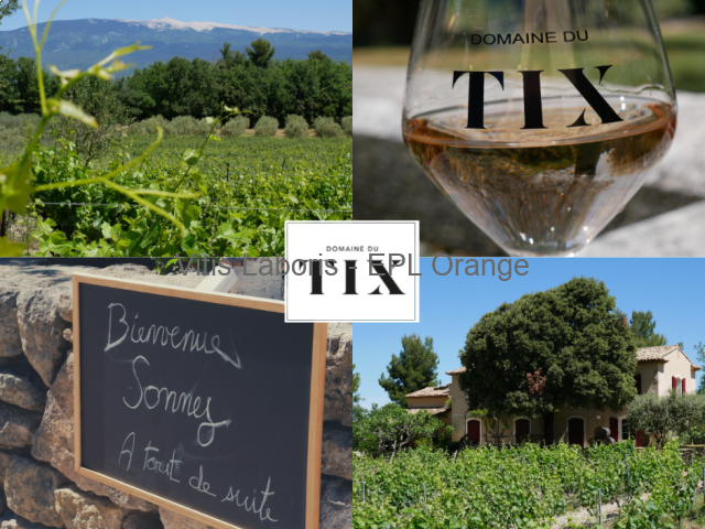 Vendeur au caveau - été 2026