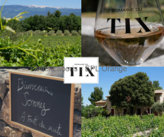 Vendeur au caveau - été 2026