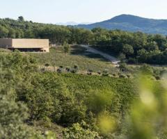 Alternant(e) en BTS viti-oeno