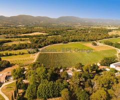 Recherche Alternant (e) en BTS Viti-oeno