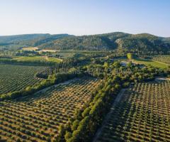 Stage caviste vinifications 2026