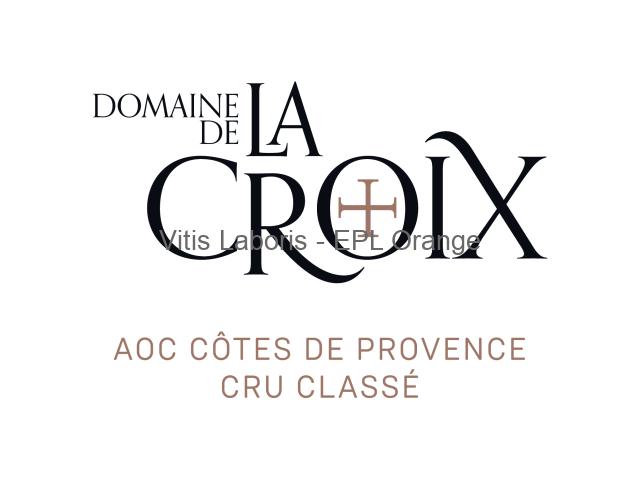 Stage vinification en Provence