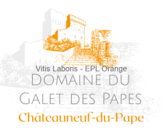 Alternance : viticulture - oenologie (H/F)